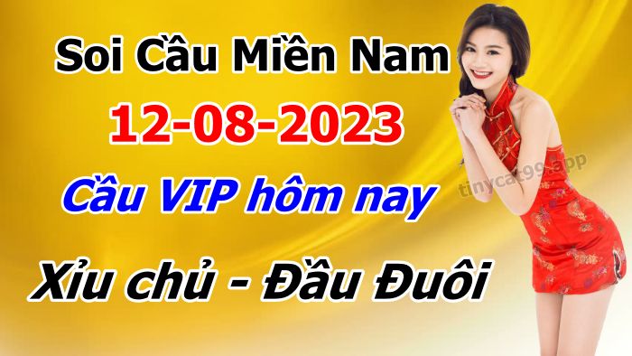 soi cầu xsmn 12-08-2023, soi cầu mn 1208-2023, dự đoán xsmn 12-08-2023, btl mn 1208-2023, dự đoán miền nam 12-08-2023, chốt số mn 12-08-2023, soi cau mien nam 12-08-2023