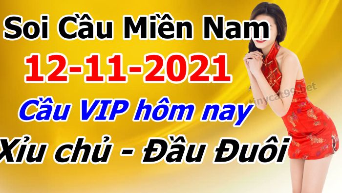 soi cầu xsmn 12-11-2021, soi cầu mn 12-11-2021, dự đoán xsmn 12-11-2021, btl mn 12-11-2021, dự đoán miền nam 12-11-2021, chốt số mn 12-11-2021, soi cau mien nam 12-11-2021