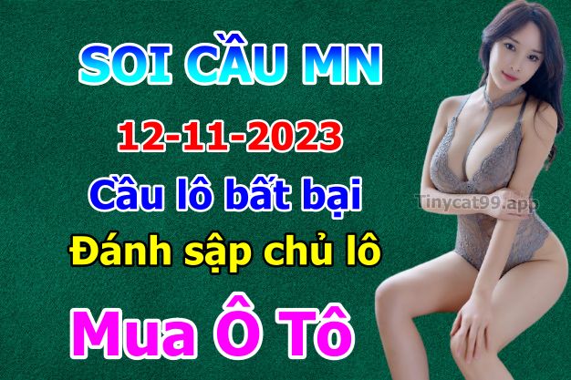 soi cầu xsmn 12-11-2023, soi cầu mn 12-11-2023, dự đoán xsmn 12-11-2023, btl mn 12-11-2023, dự đoán miền nam 12-11-2023, chốt số mn 12-11-2023, soi cau mien nam 12 11 2023