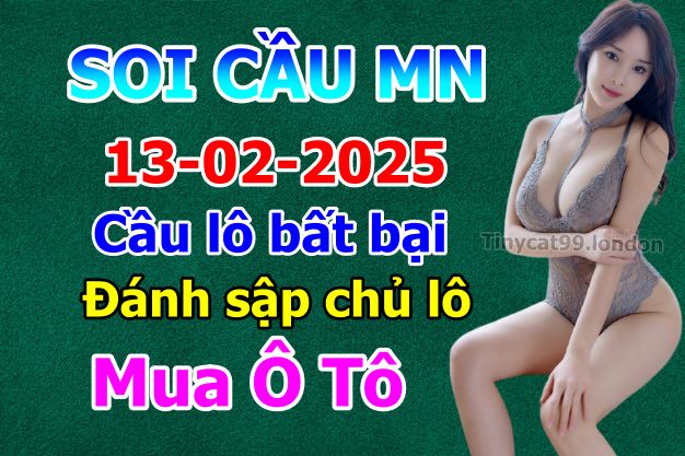 soi cầu xsmn 13-02-2025, soi cầu mn 13-02-2025, dự đoán xsmn 13-02-2025, btl mn 13-02-2025, dự đoán miền nam 13-02-2025, chốt số mn 13-02-2025, soi cau mien nam 13 02 2025