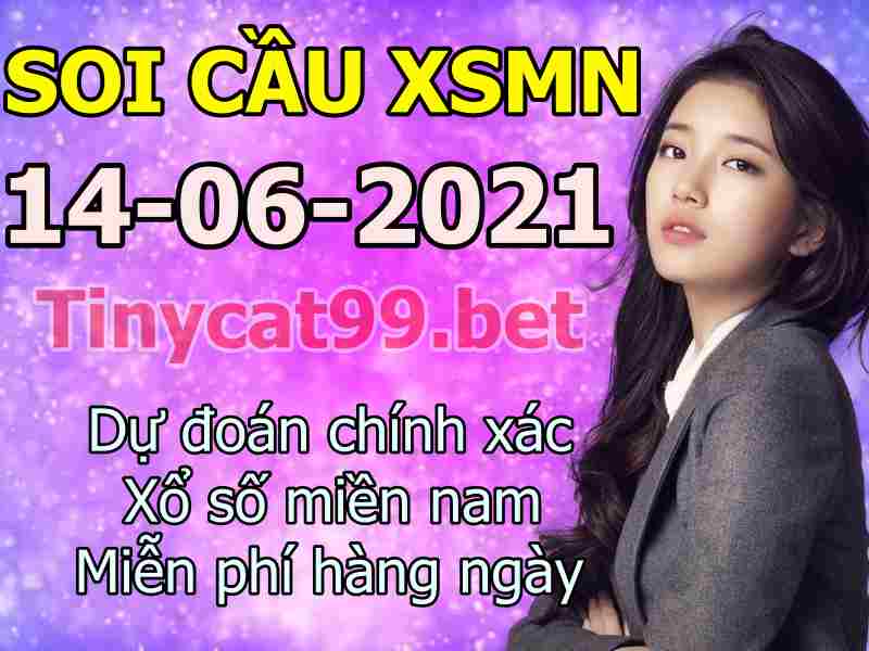 soi cầu xsmn 14 06 2021, soi cầu mn 14-06-2021, dự đoán xsmn 14-06-2021, btl mn 14-06-2021, dự đoán miền nam 14-06-2021, chốt số mn 14-06-2021, soi cau mien nam 14 06 2021