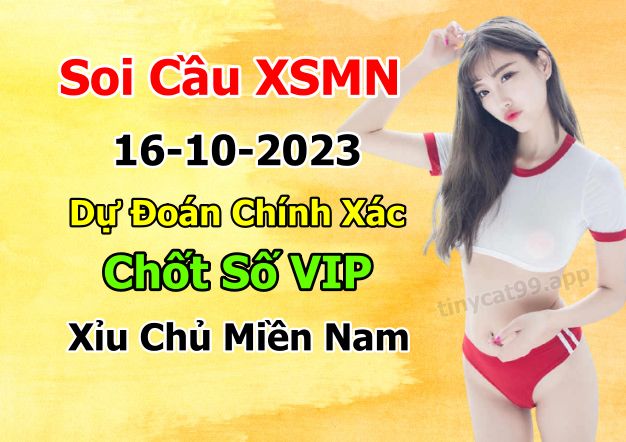 vsoi cầu xsmn 16-10-2023, soi cầu mn 16/10/2023, dự đoán xsmn 16-10-2023, btl mn 16 10 23, dự đoán miền nam 16/10/2023, chốt số mn 16-10-2023, soi cau mien nam 16-10-2023