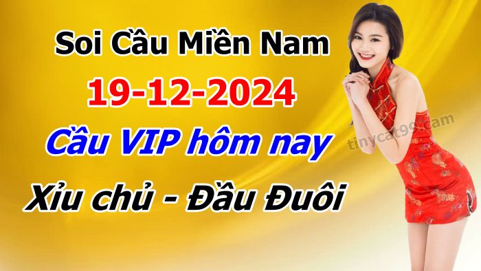 soi cầu xsmn 19-12-2024, soi cầu mn 19-12-2024, dự đoán xsmn 19-12-2024, btl mn 19-12-2024, dự đoán miền nam 19-12-2024, chốt số mn 19-12-2024, soi cau mien nam 19 12 2024