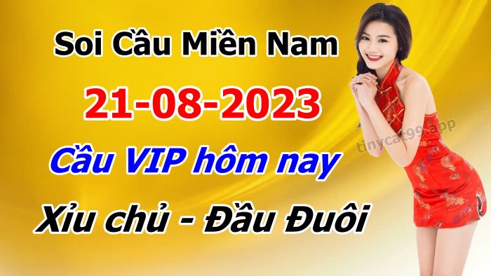 vsoi cầu xsmn 21-08-2023, soi cầu mn 21/08/2023, dự đoán xsmn 21-08-2023, btl mn 21 08 23, dự đoán miền nam 21/08/2023, chốt số mn 21-08-2023, soi cau mien nam 21-08-2023