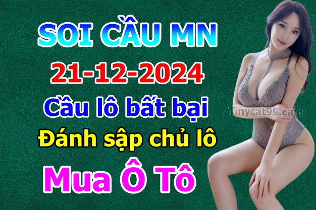 soi cầu xsmn 21-12-2024, soi cầu mn 21-12-2024, dự đoán xsmn 21-12-2024, btl mn 21-12-2024, dự đoán miền nam 21-12-2024, chốt số mn 21-12-2024, soi cau mien nam 21-12-2024