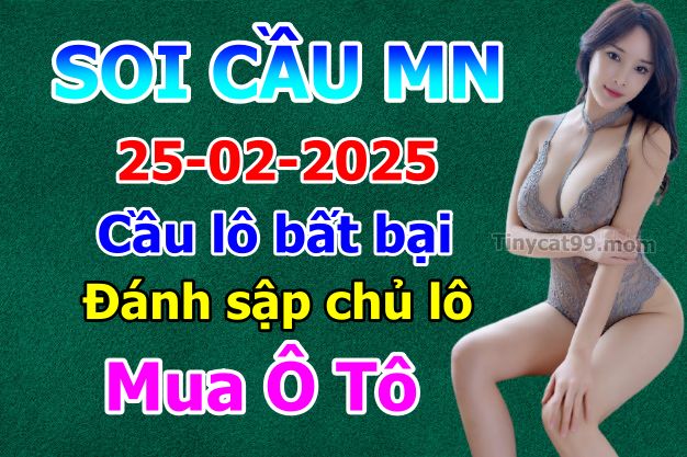 soi cầu xsmn 25 02 2025, soi cầu mn 25/02/2025, dự đoán xsmn 25 02 2025, btl mn 25-02-2025, dự đoán miền nam 25/02/2025, chốt số mn 25 02 2025, soi cau mien nam 25-02-2025