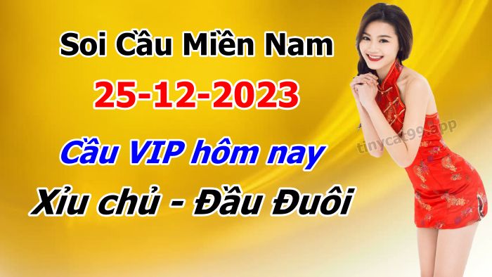 vsoi cầu xsmn 25-12-2023, soi cầu mn 25/12/2023, dự đoán xsmn 25-12-2023, btl mn 25 12 23, dự đoán miền nam 25/12/2023, chốt số mn 25-12-2023, soi cau mien nam 25-12-2023