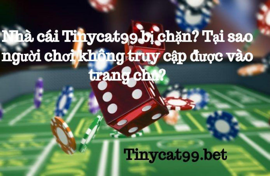 tinycat99 bị chặn, tinycat99 bi chan