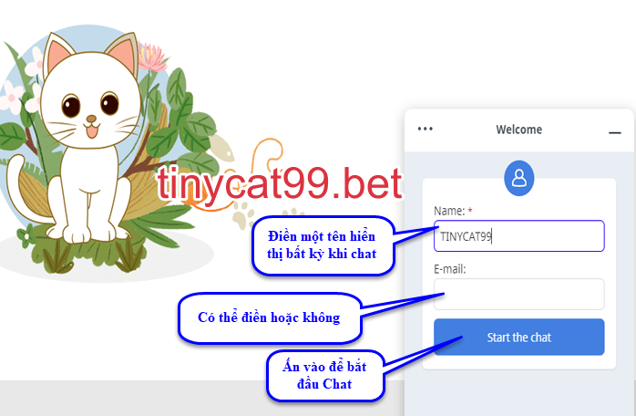 Cách Nạp Tiền Vào TinyCat99 Nhanh Chóng - Chính Xác Nhất